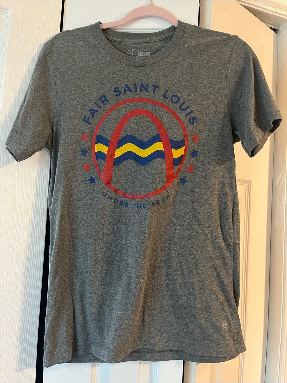 Fair Saint Louis Gray Graphic Tee
